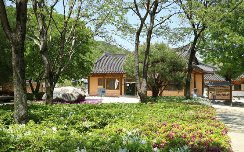 tour_namsa